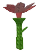 Pink Lily